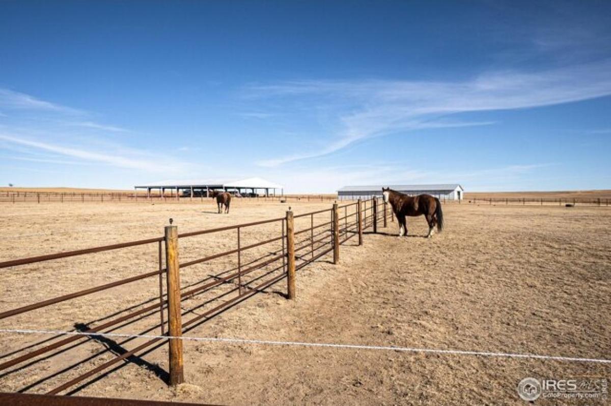 Picture of Residential Land For Sale in Briggsdale, Colorado, United States