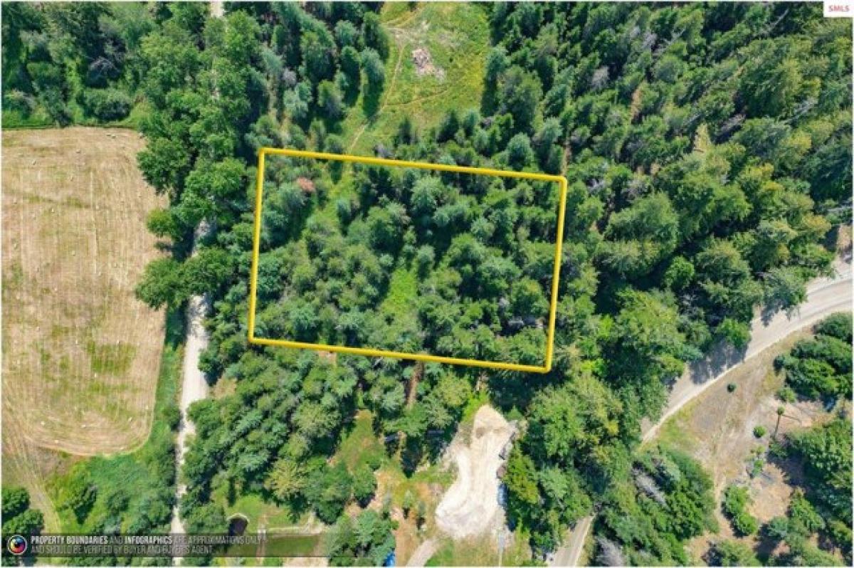 Picture of Residential Land For Sale in Sagle, Idaho, United States