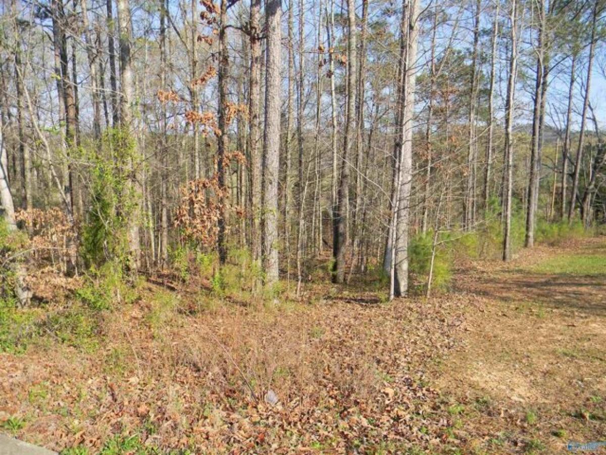 Picture of Residential Land For Sale in Leesburg, Alabama, United States