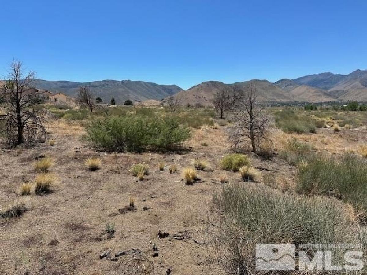 Picture of Residential Land For Sale in Coleville, California, United States