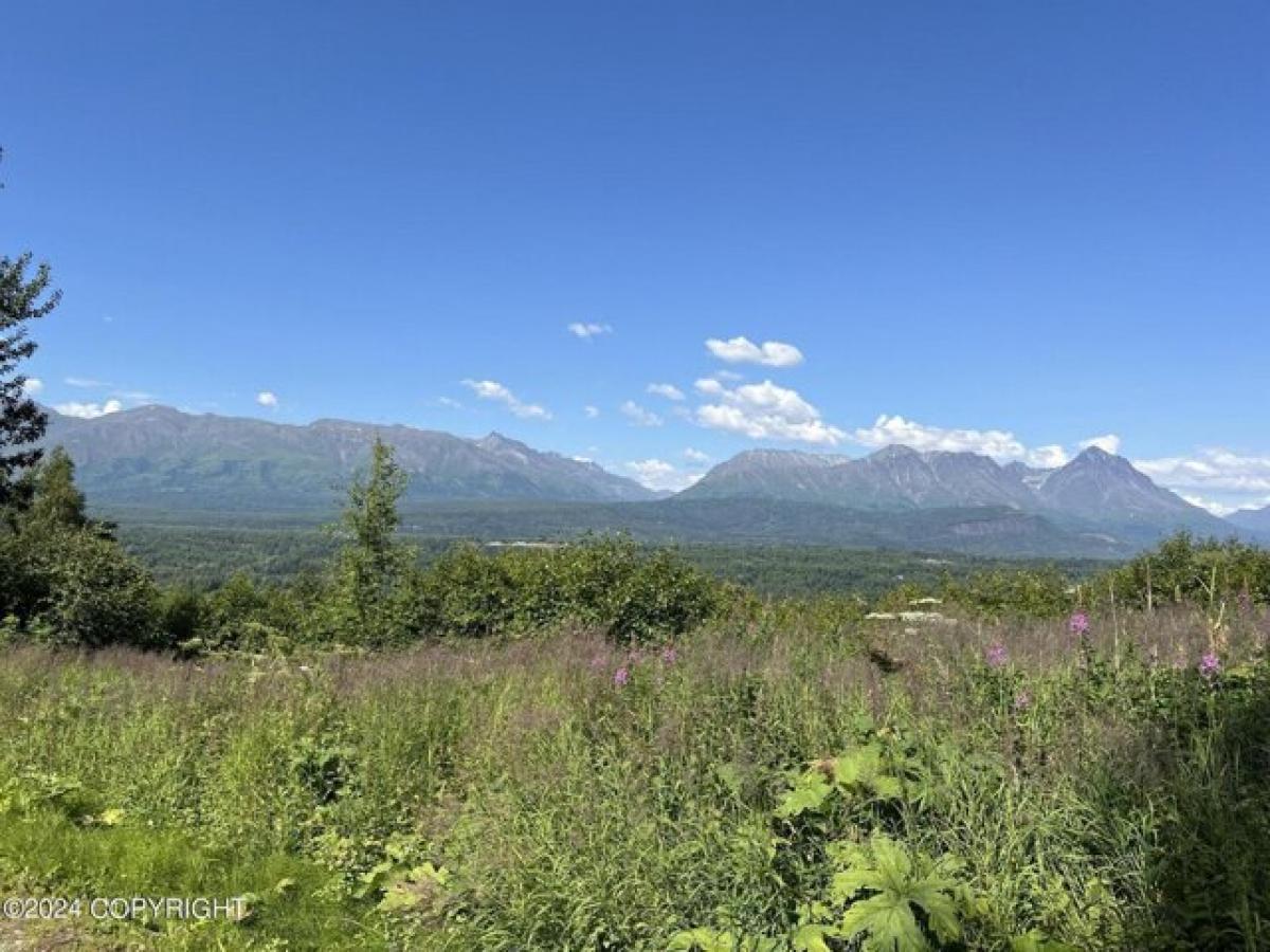 Picture of Residential Land For Sale in Palmer, Alaska, United States