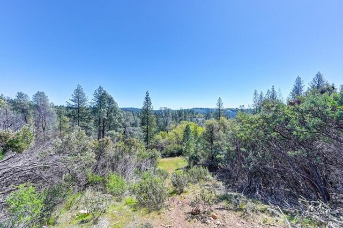 Picture of Residential Land For Sale in Placerville, California, United States