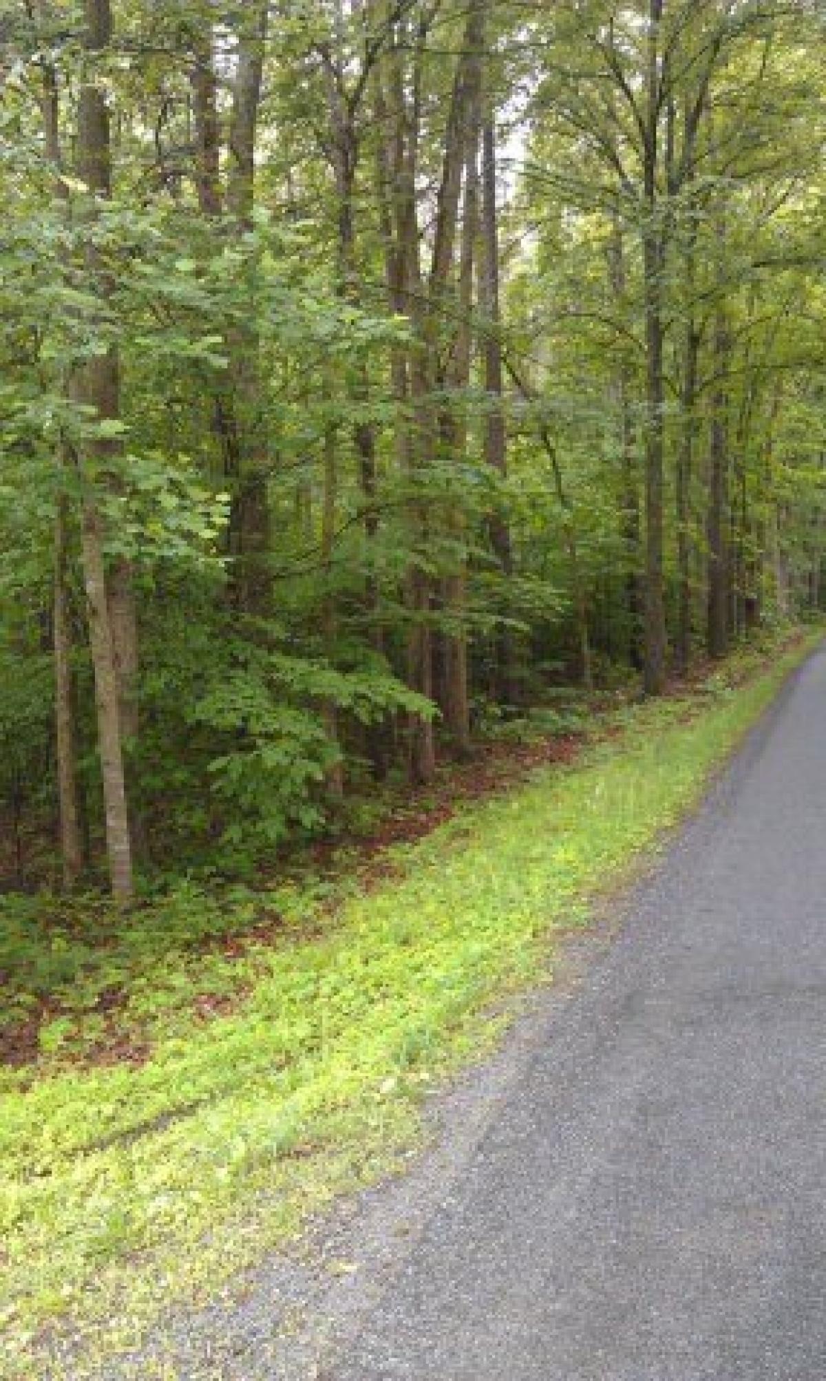 Picture of Residential Land For Sale in Saxe, Virginia, United States