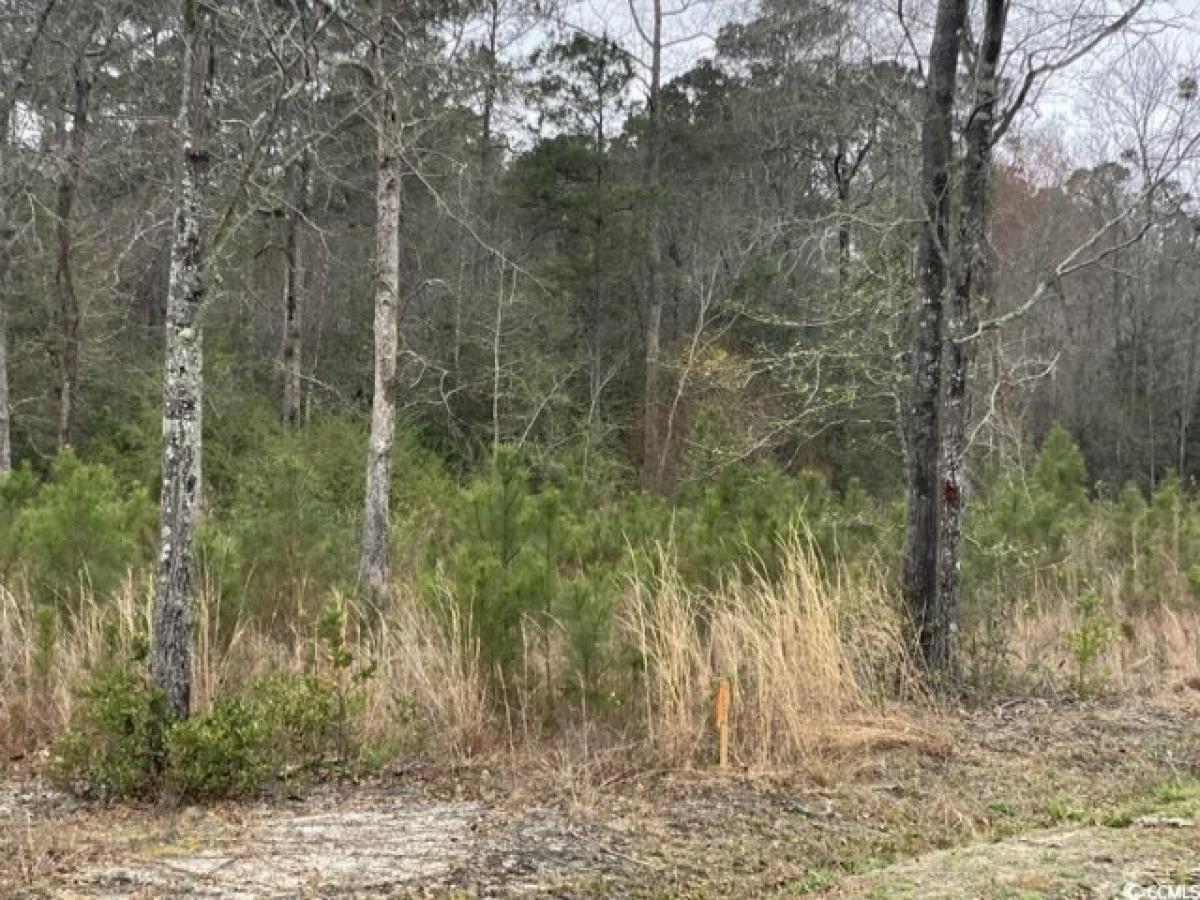 Picture of Residential Land For Sale in Loris, South Carolina, United States