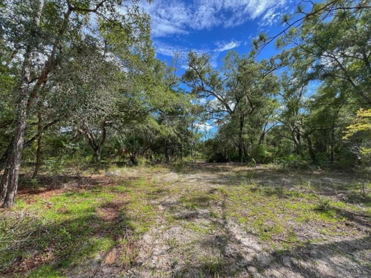 Picture of Residential Land For Sale in High Springs, Florida, United States