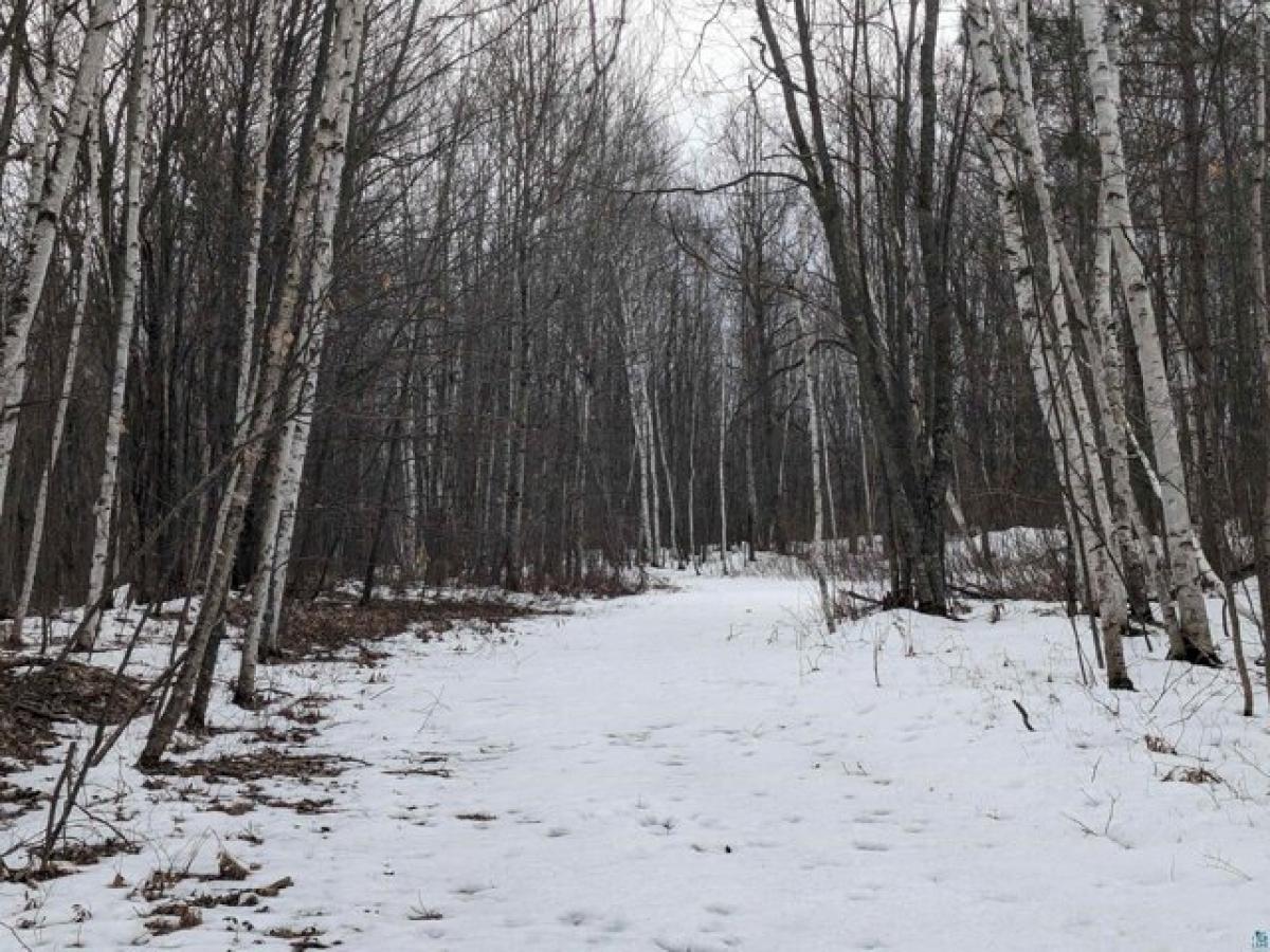 Picture of Residential Land For Sale in Iron River, Wisconsin, United States