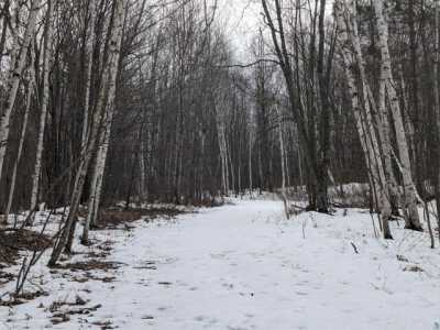 Residential Land For Sale in Iron River, Wisconsin