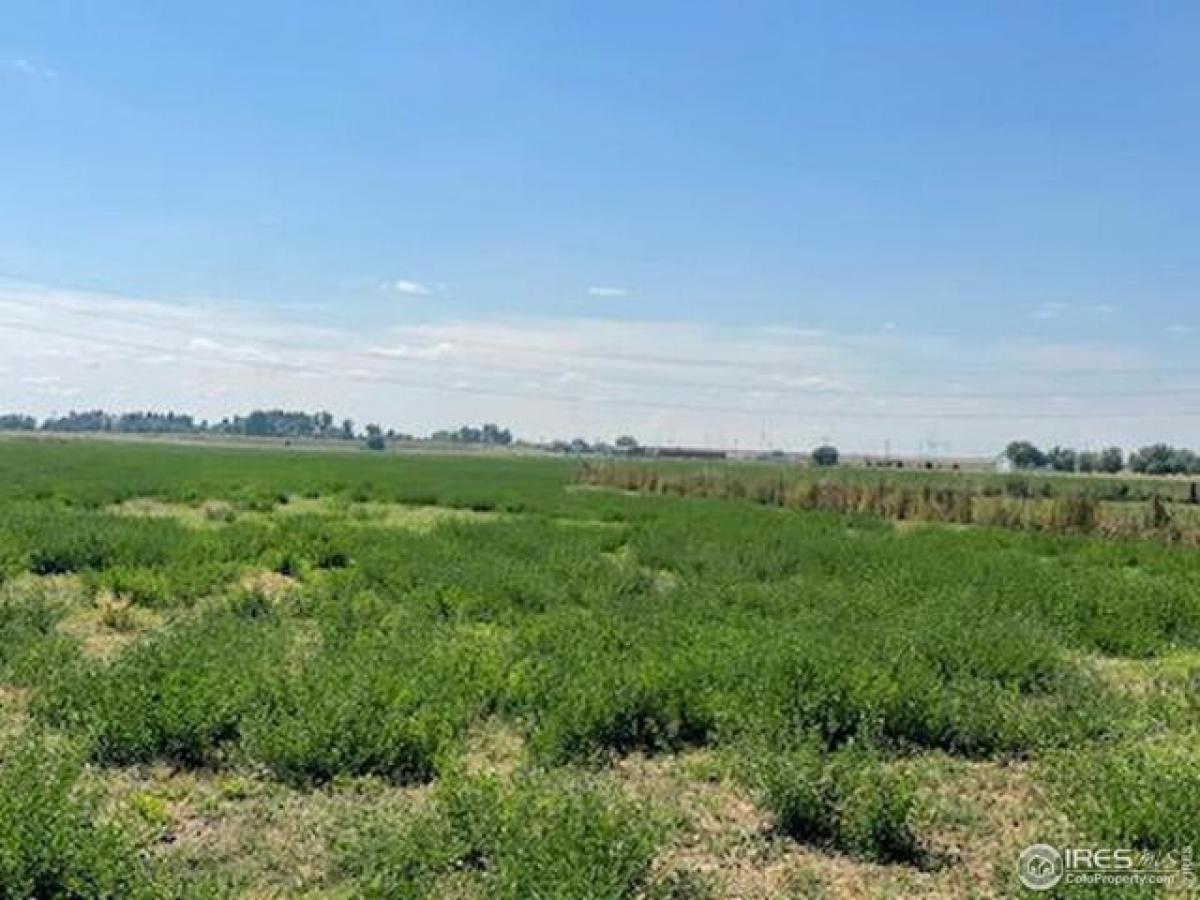 Picture of Residential Land For Sale in Keenesburg, Colorado, United States