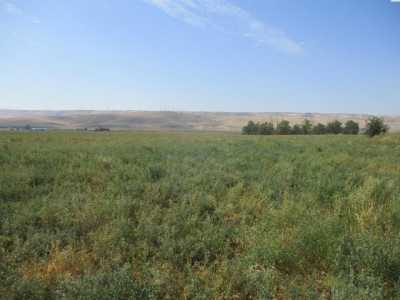 Residential Land For Sale in 