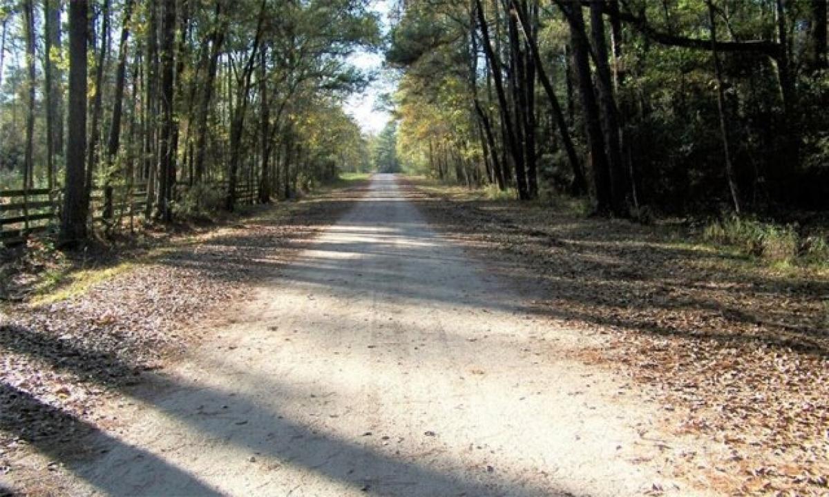 Picture of Residential Land For Sale in Hockley, Texas, United States