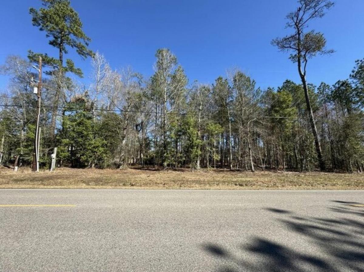 Picture of Residential Land For Sale in Lumberton, Texas, United States