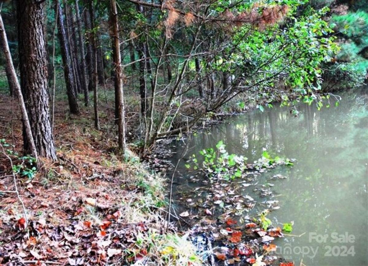 Picture of Residential Land For Sale in Granite Falls, North Carolina, United States