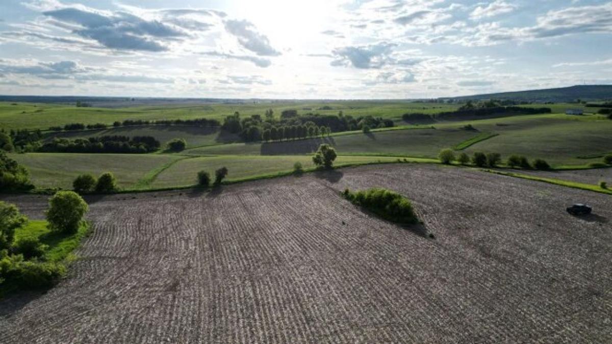 Picture of Residential Land For Sale in Blue Mounds, Wisconsin, United States