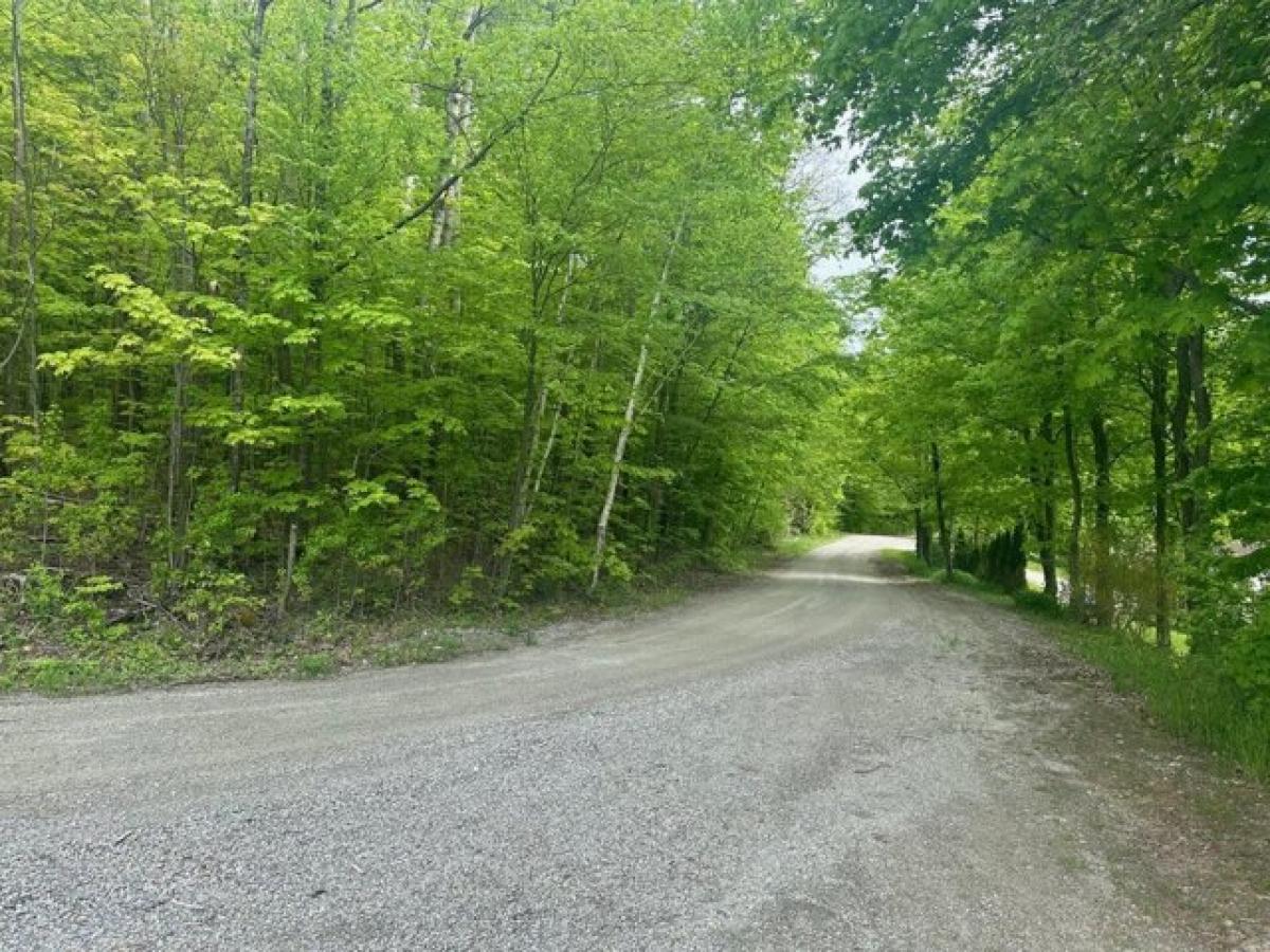 Picture of Residential Land For Sale in Hinesburg, Vermont, United States