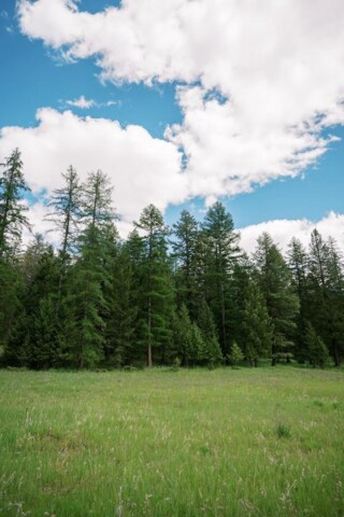 Picture of Residential Land For Sale in Whitefish, Montana, United States