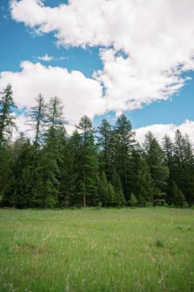 Residential Land For Sale in Whitefish, Montana