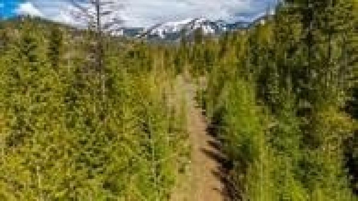 Picture of Residential Land For Sale in Whitefish, Montana, United States