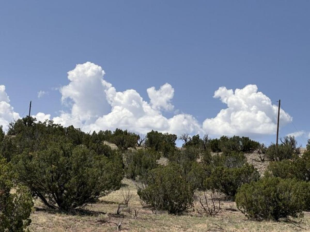 Picture of Residential Land For Sale in Magdalena, New Mexico, United States