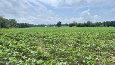 Residential Land For Sale in Stanton, Tennessee