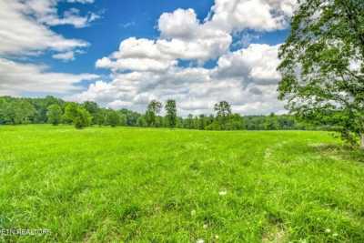 Residential Land For Sale in Deer Lodge, Tennessee