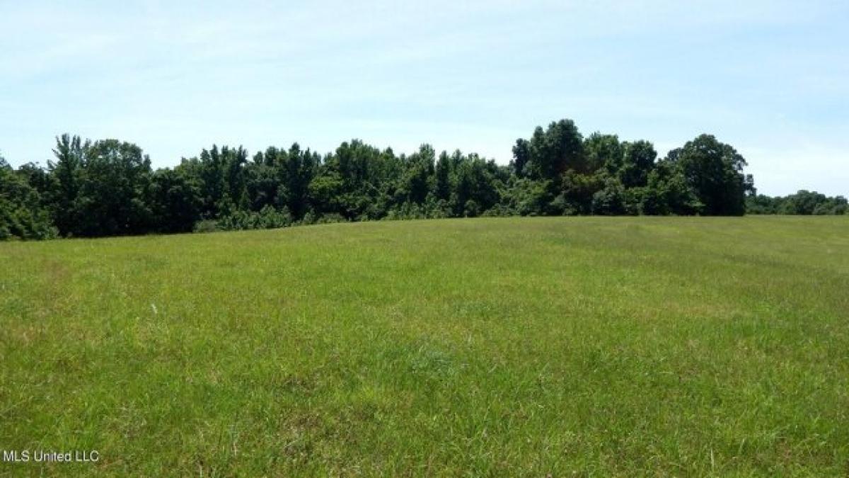 Picture of Residential Land For Sale in Coldwater, Mississippi, United States