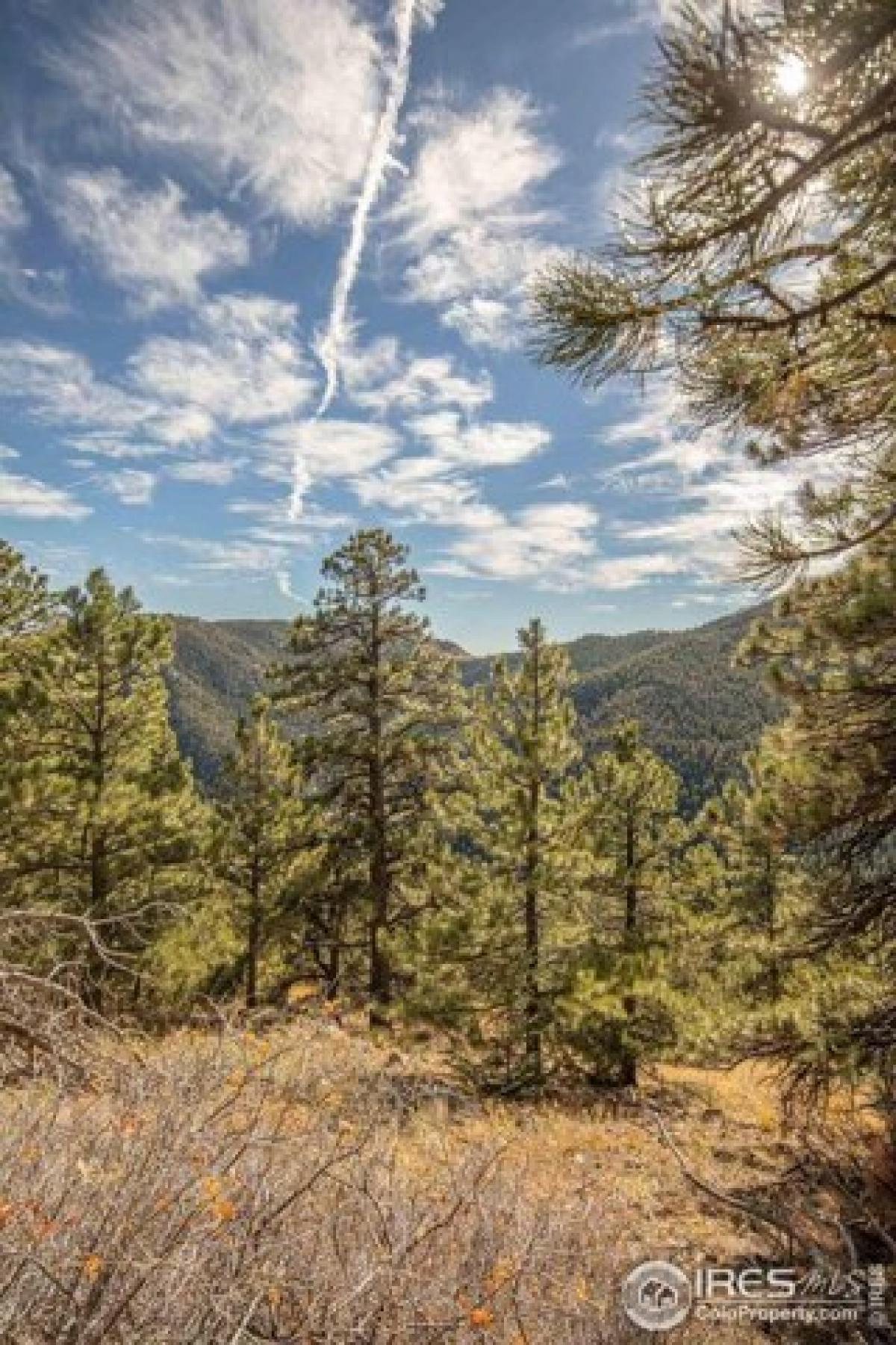 Picture of Residential Land For Sale in Jamestown, Colorado, United States