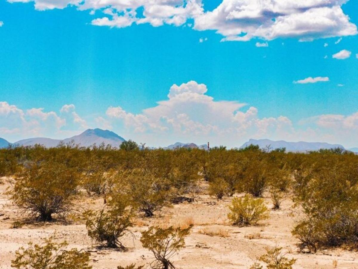 Picture of Residential Land For Sale in Terlingua, Texas, United States