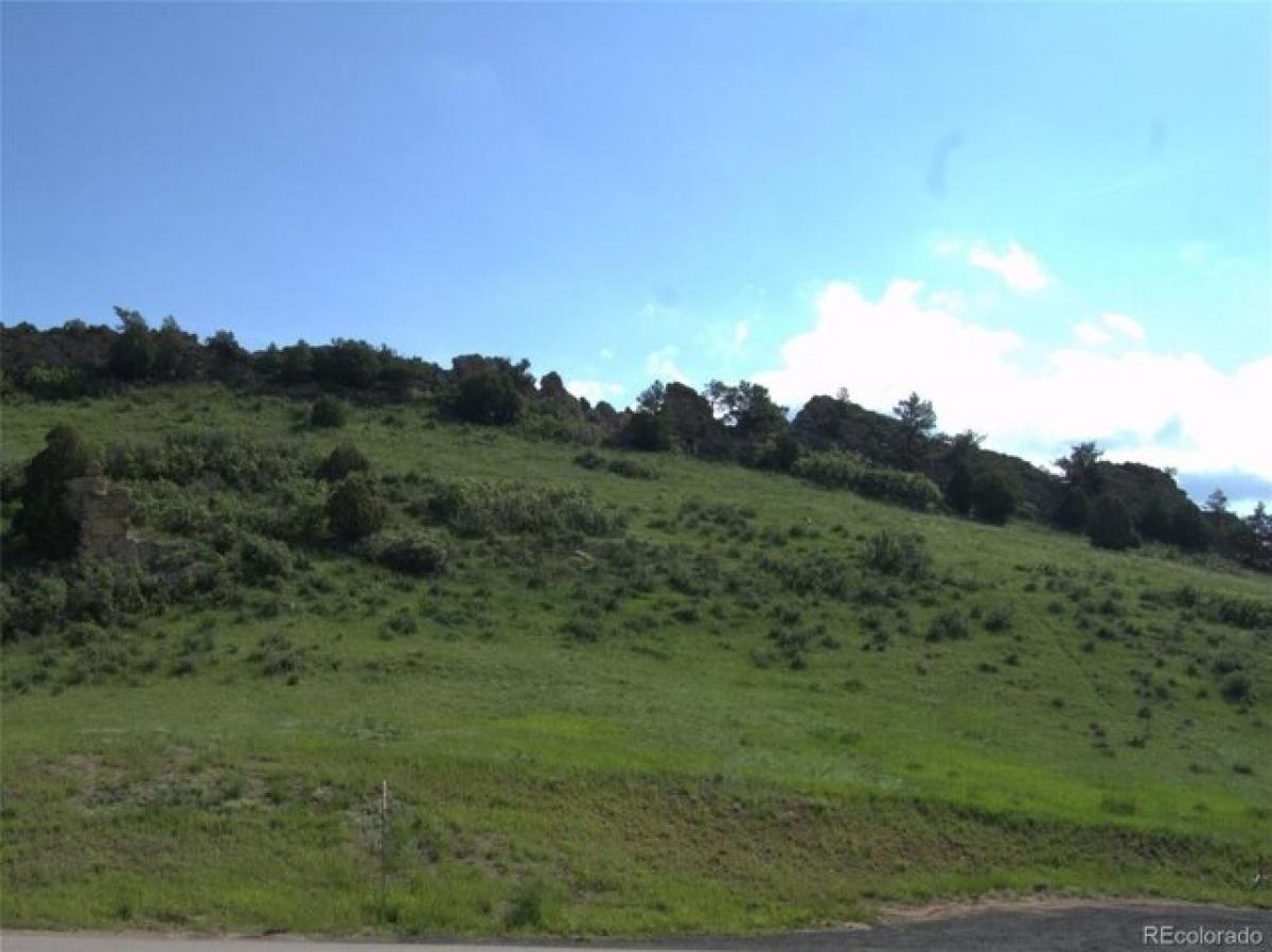 Picture of Residential Land For Sale in Larkspur, Colorado, United States