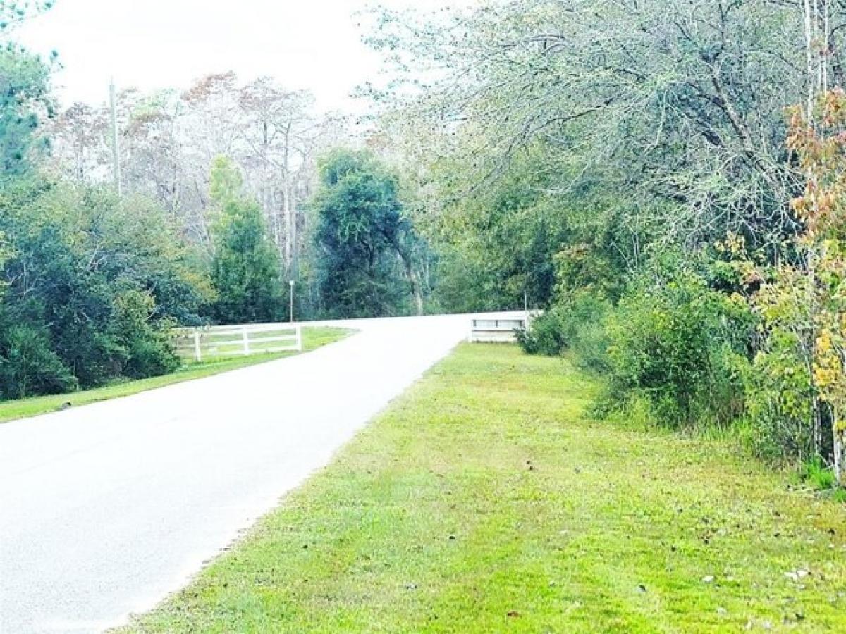 Picture of Residential Land For Sale in Polk City, Florida, United States