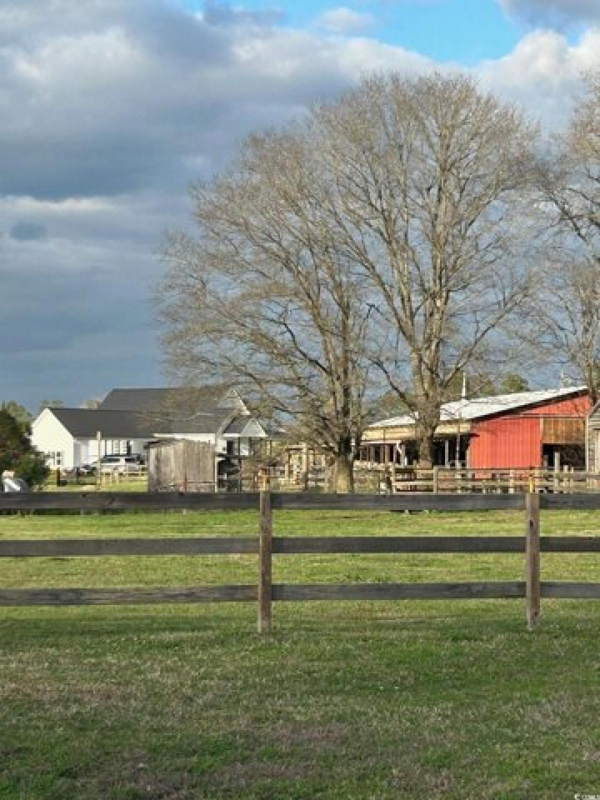 Picture of Residential Land For Sale in Conway, South Carolina, United States