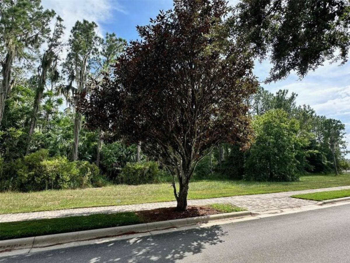 Picture of Residential Land For Sale in Montverde, Florida, United States