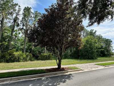 Residential Land For Sale in Montverde, Florida