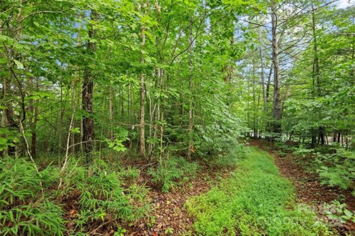 Picture of Residential Land For Sale in Wilkesboro, North Carolina, United States