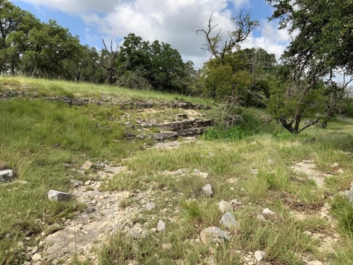 Picture of Residential Land For Sale in Harper, Texas, United States