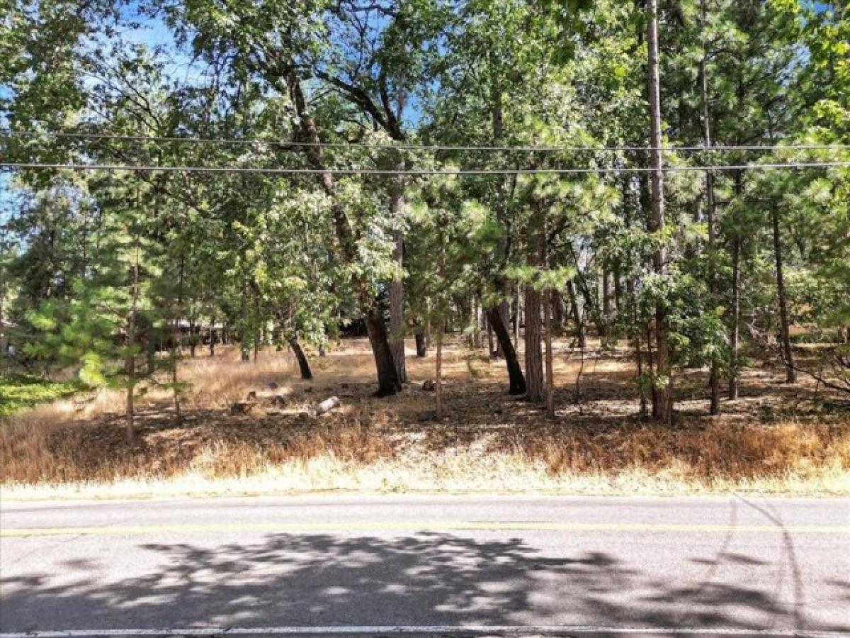 Picture of Residential Land For Sale in Grass Valley, California, United States