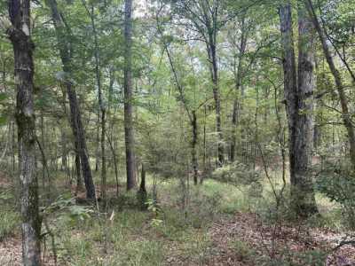 Residential Land For Sale in Trout, Louisiana