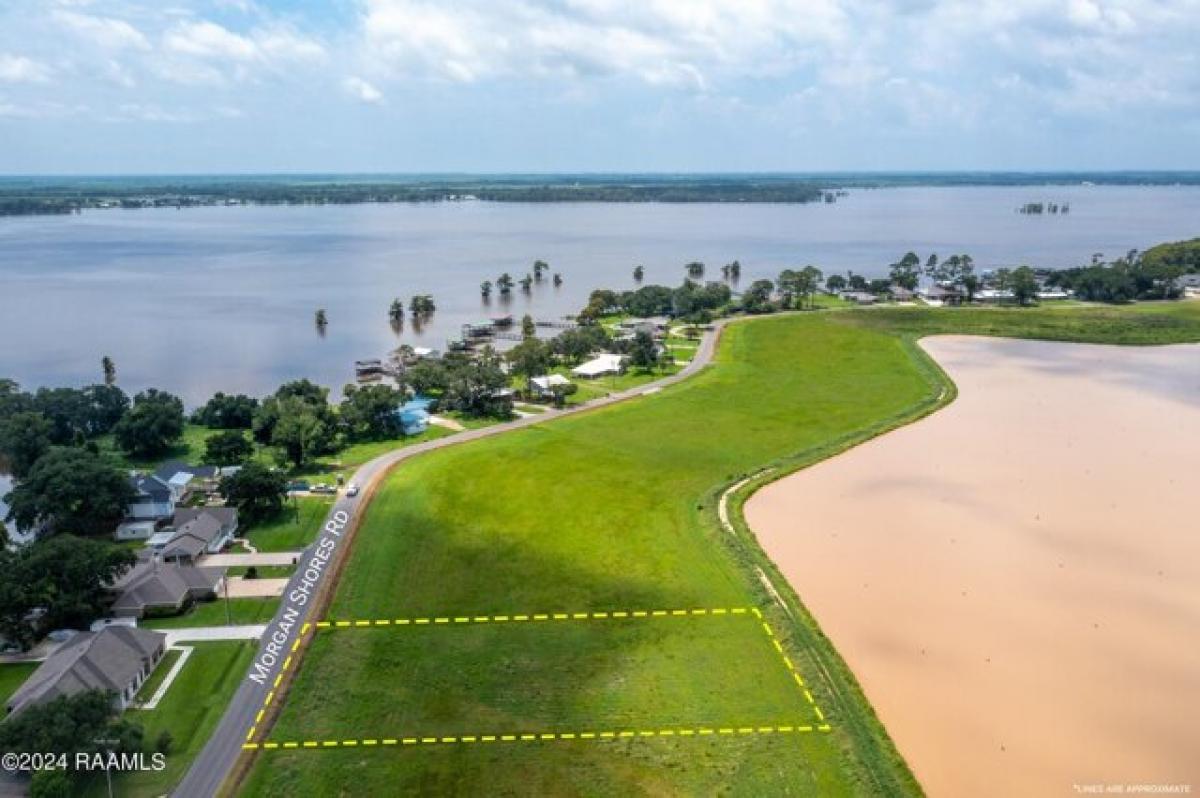 Picture of Residential Land For Sale in Lake Arthur, Louisiana, United States