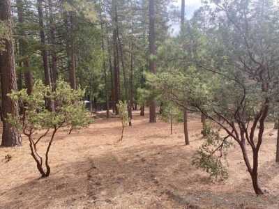 Residential Land For Sale in Idyllwild, California