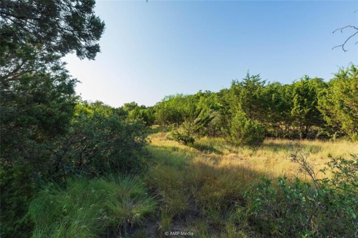 Picture of Residential Land For Sale in Tuscola, Texas, United States