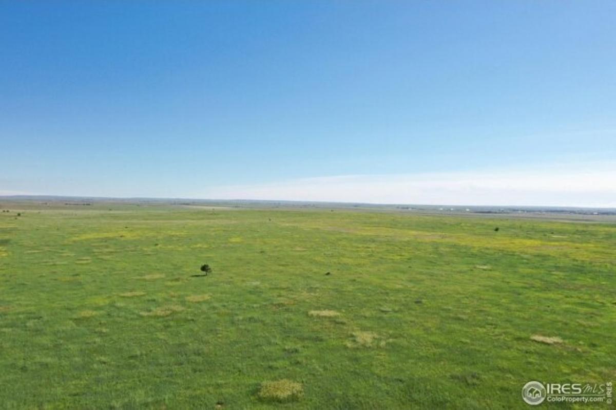 Picture of Residential Land For Sale in Nunn, Colorado, United States