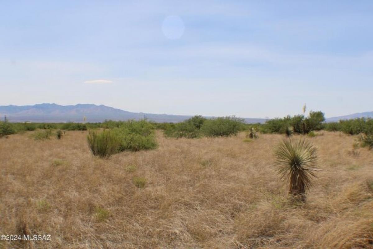 Picture of Residential Land For Sale in Saint David, Arizona, United States