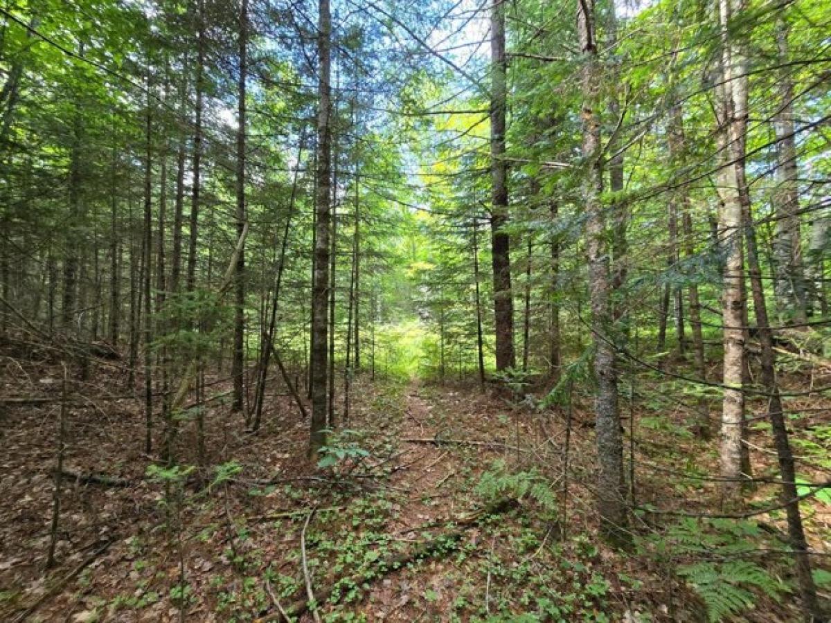 Picture of Residential Land For Sale in Presque Isle, Wisconsin, United States