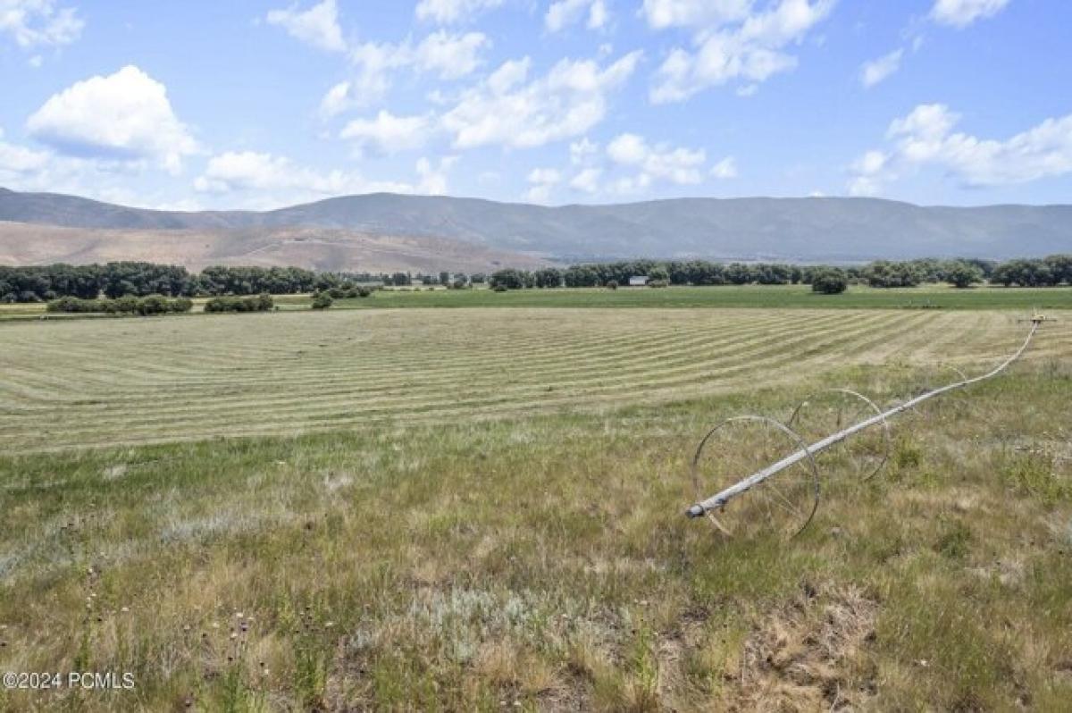 Picture of Residential Land For Sale in Wallsburg, Utah, United States