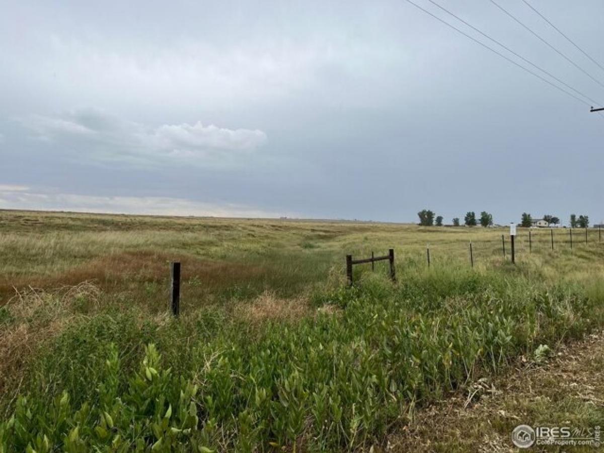 Picture of Residential Land For Sale in Galeton, Colorado, United States