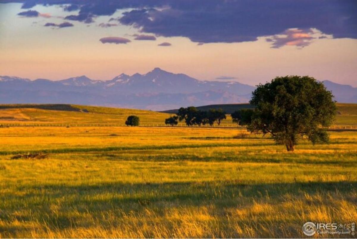 Picture of Residential Land For Sale in Longmont, Colorado, United States