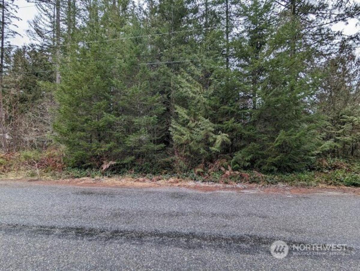 Picture of Residential Land For Sale in Concrete, Washington, United States