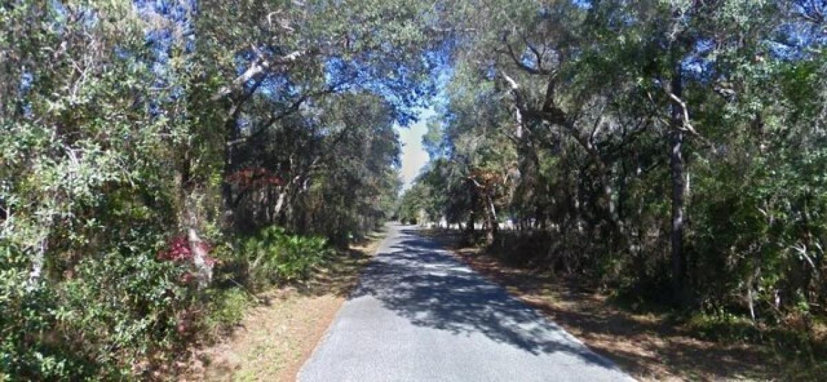 Picture of Residential Land For Sale in Fort Mccoy, Florida, United States