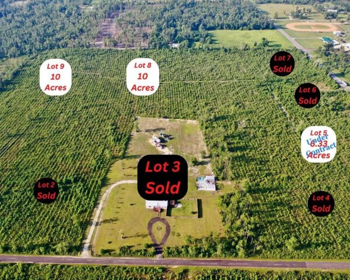 Picture of Residential Land For Sale in Wewahitchka, Florida, United States