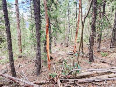 Residential Land For Sale in Idaho Springs, Colorado