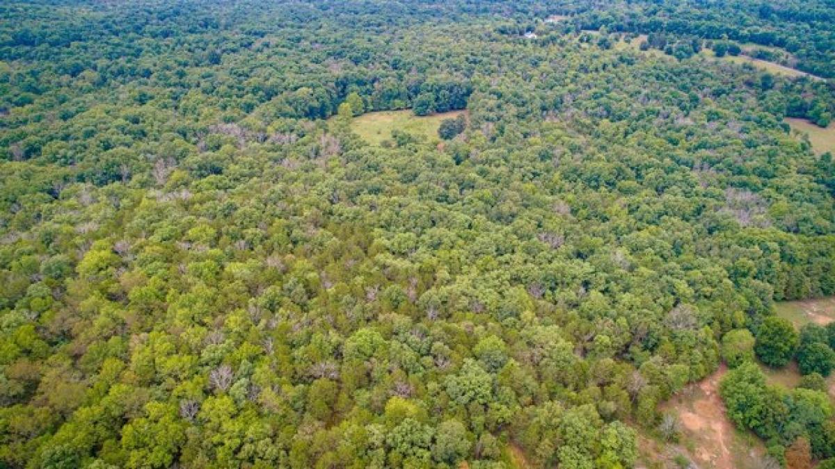 Picture of Residential Land For Sale in Murfreesboro, Tennessee, United States